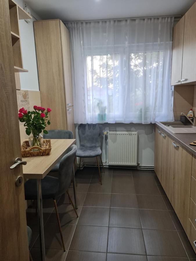Apartament Modern Cristina&Jessica Mediaş Buitenkant foto