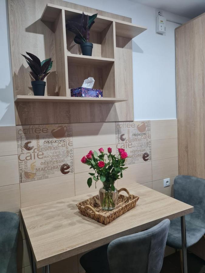 Apartament Modern Cristina&Jessica Mediaş Buitenkant foto