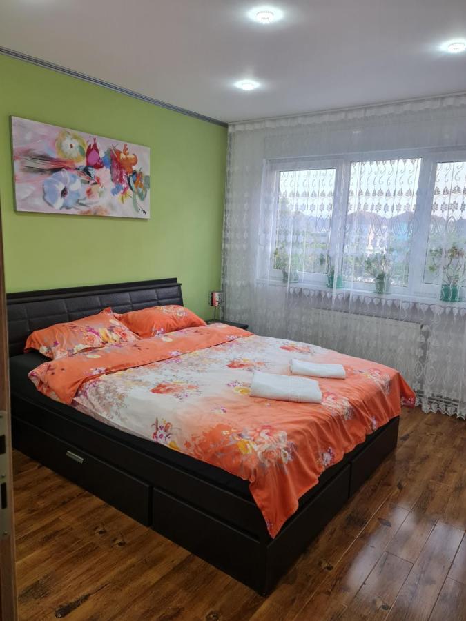 Apartament Modern Cristina&Jessica Mediaş Buitenkant foto