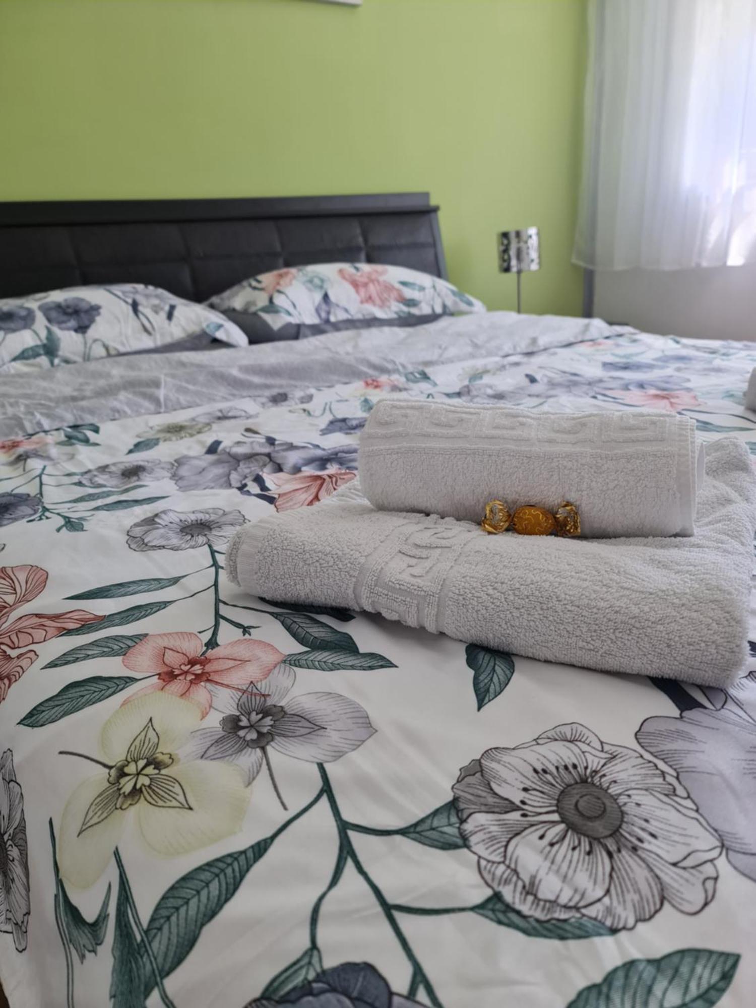 Apartament Modern Cristina&Jessica Mediaş Buitenkant foto